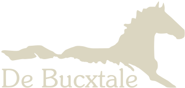 de Bucxtale Logo