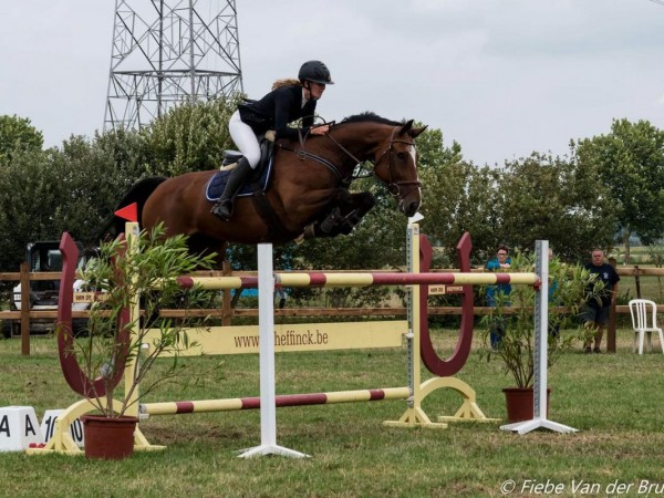 Ixia Van De Kruishoeve